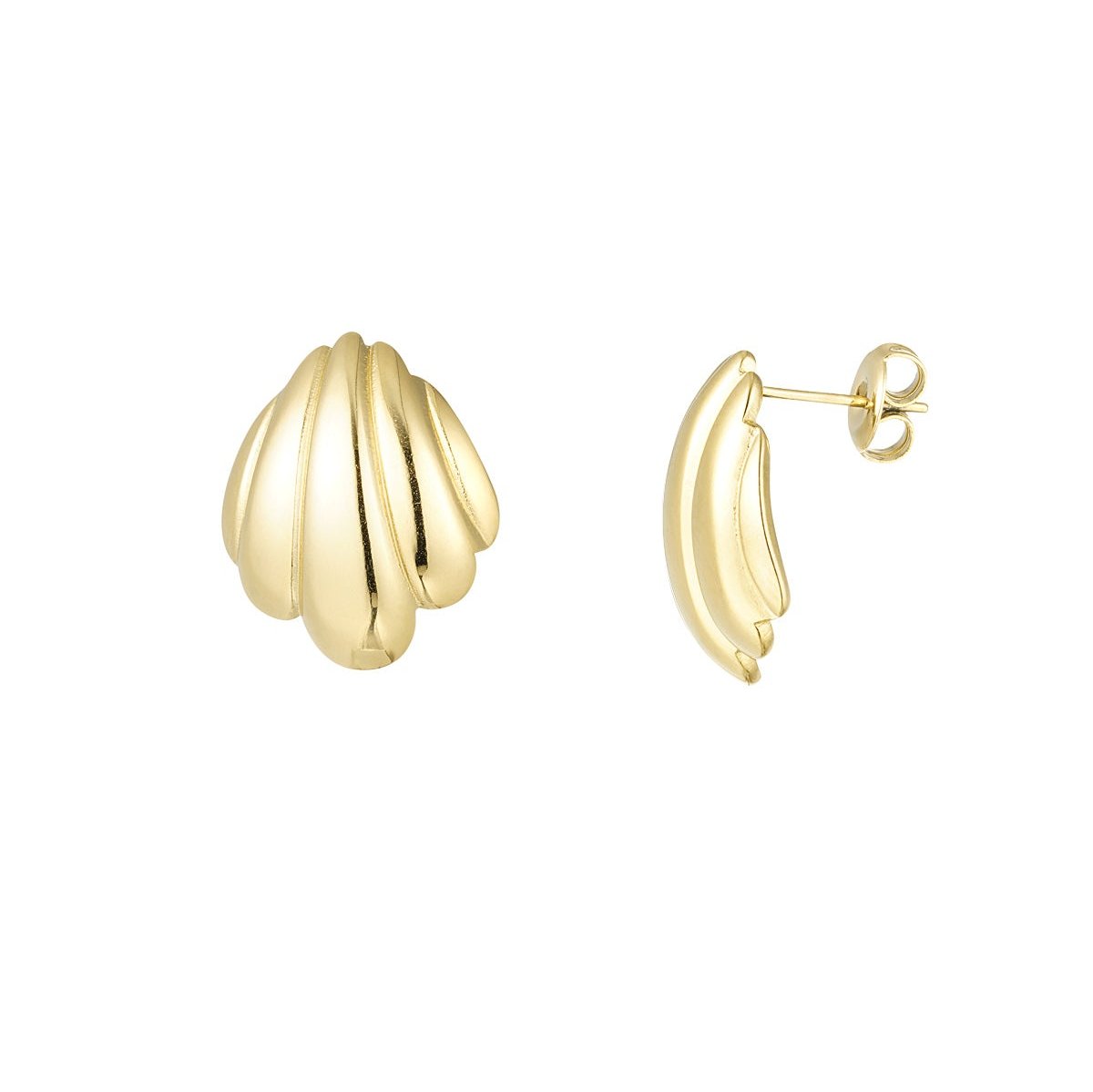 Schelp oorbellen goud