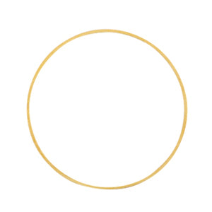 Dichte ring goud kleurig - 25mm (per stuk)