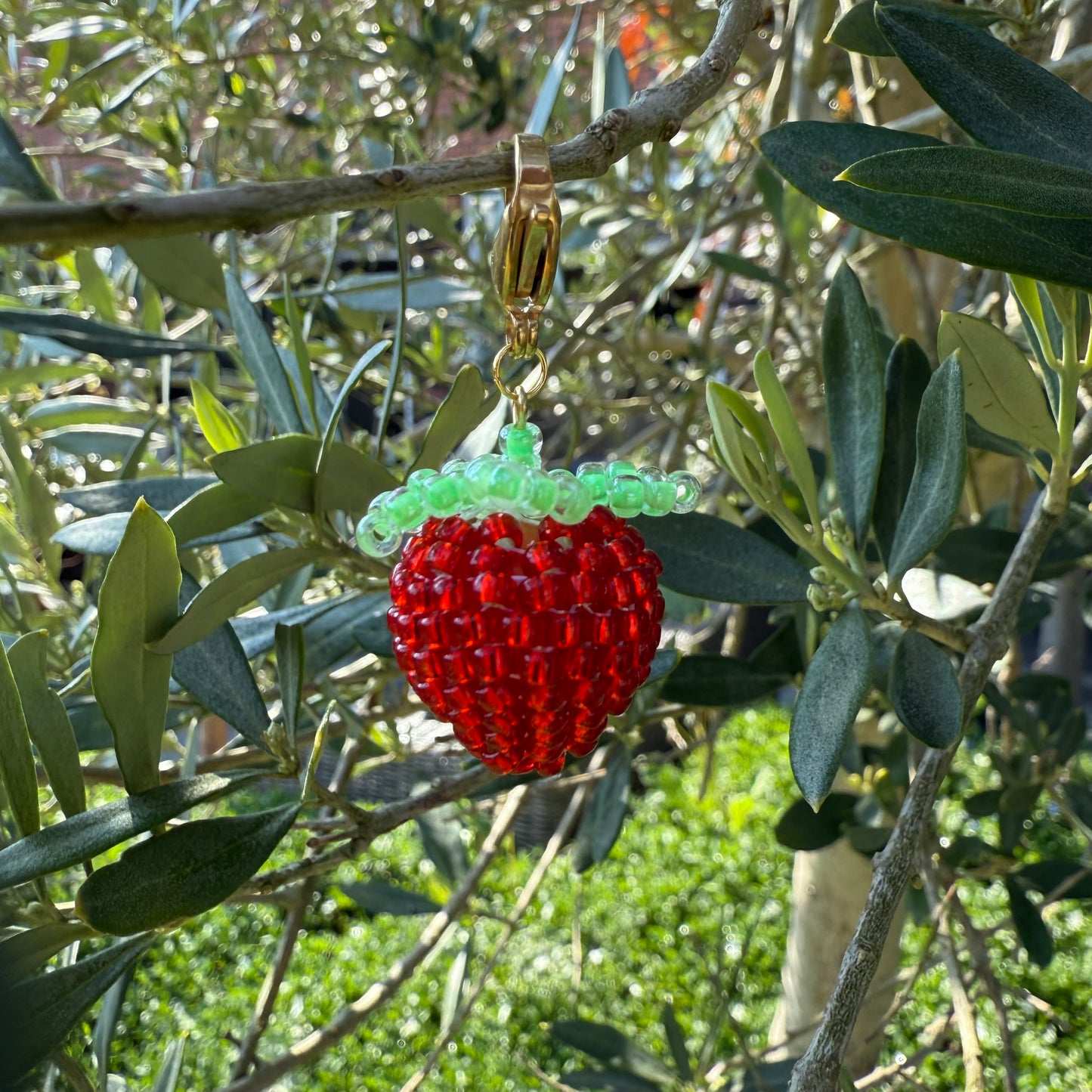 Aardbeien bedel
